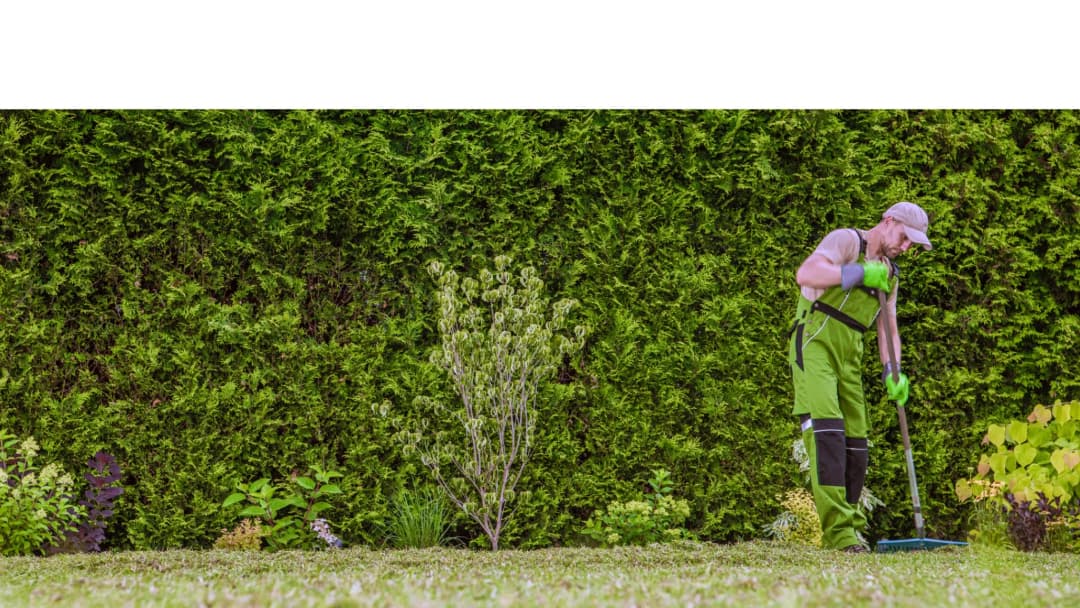 Працівник на озеленення території